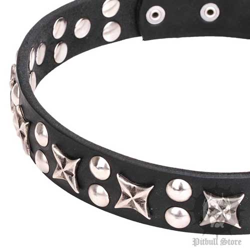 Dog Collar with Stars