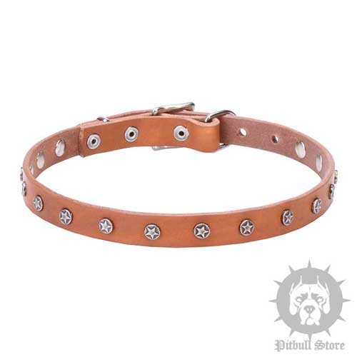 Elegant Dog Collar with Stars