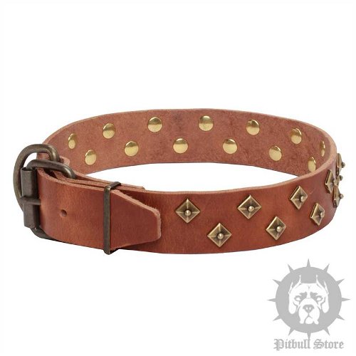 Brown Leather Dog Collar UK