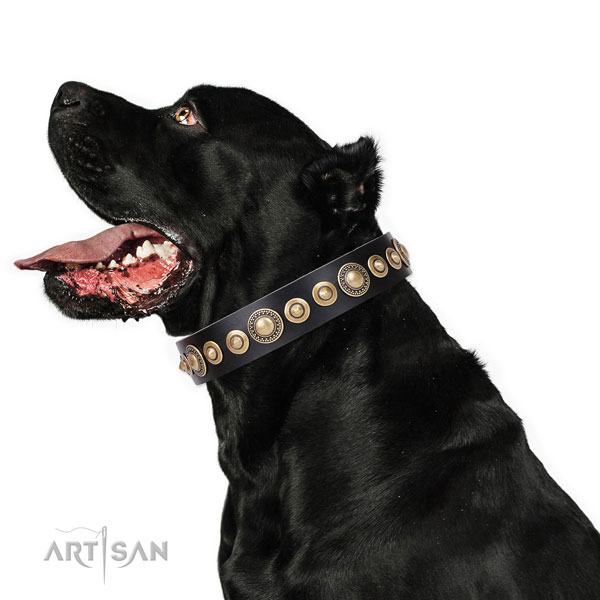 Thick Leather Dog Collars