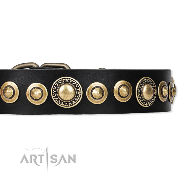 Thick Leather Dog Collars