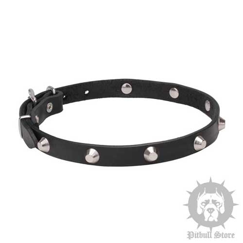 Thin Dog Collar