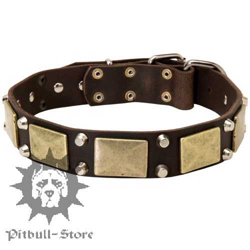 Pitbull Leather Collar