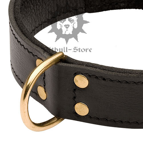 Dog Training Collar