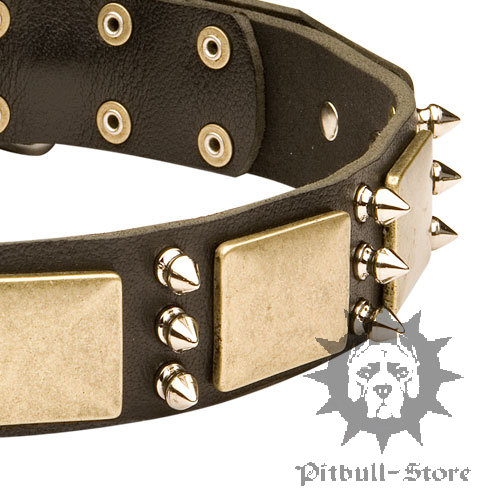 Spiked Dog Collar