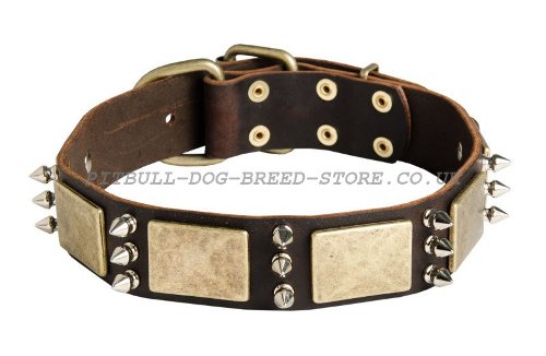 Ultimate Dog Collars UK