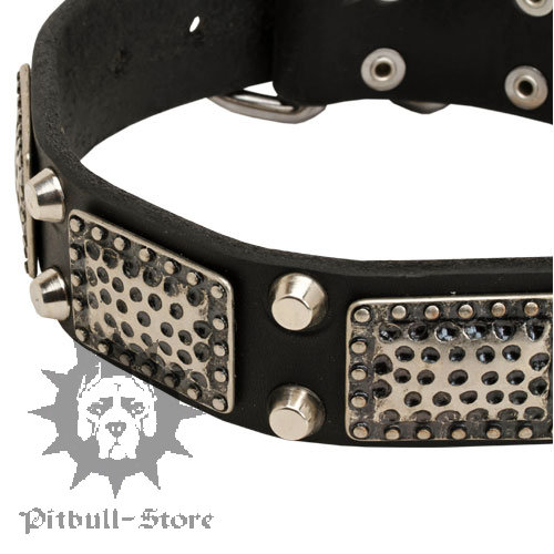 Unique Dog collar