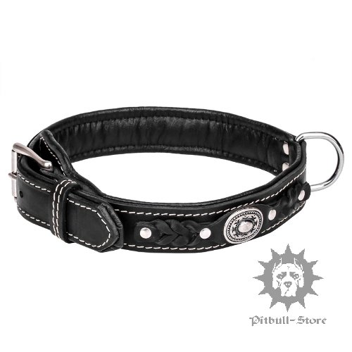 Unique Dog Collar