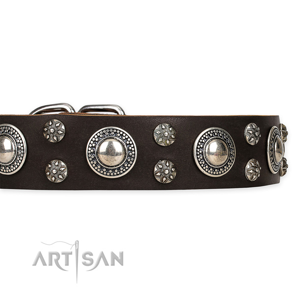 Vintage Dog Collar