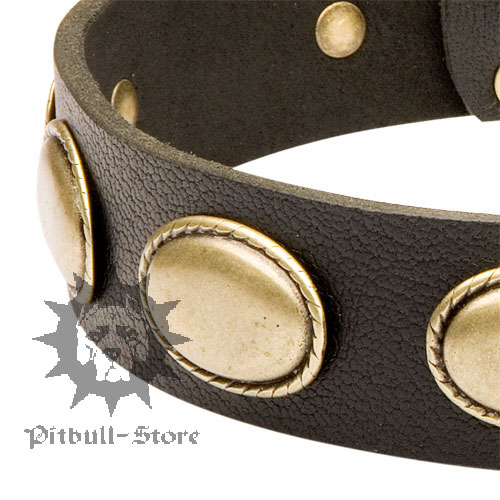 Vintage Dog Collar