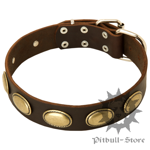 Vintage Dog Collar