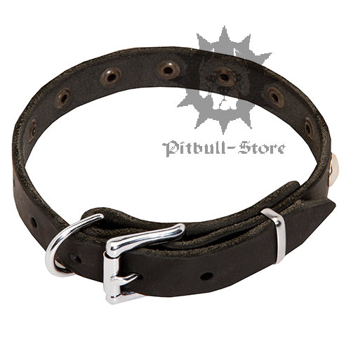 Walking Dog Collar