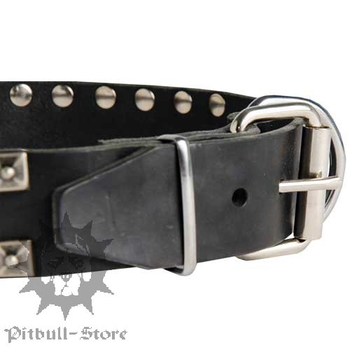 Walking Dog Collar