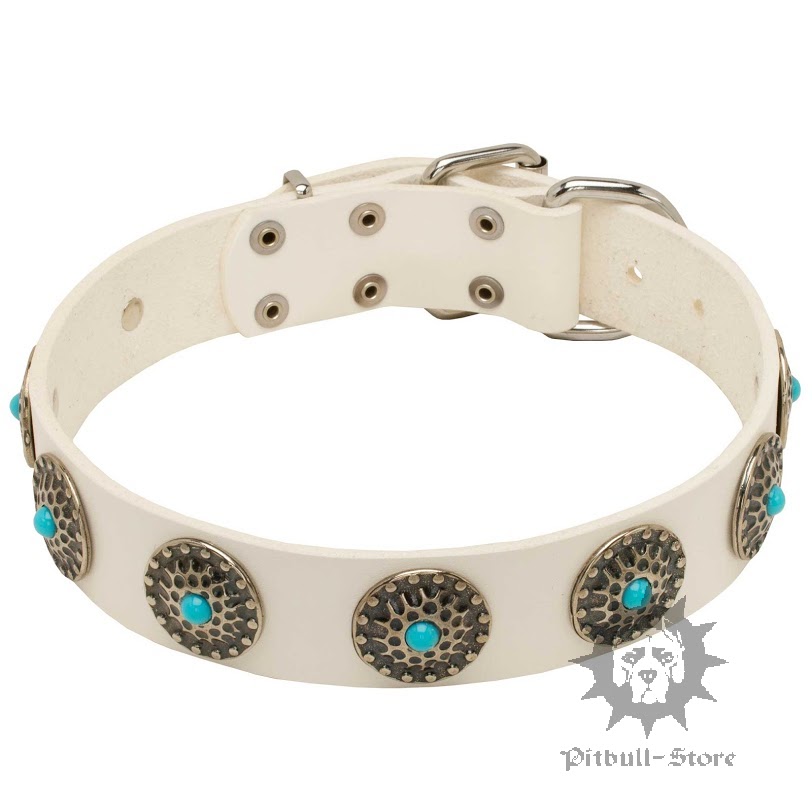 White Leather Dog Collar Female Dog Collar 52 10