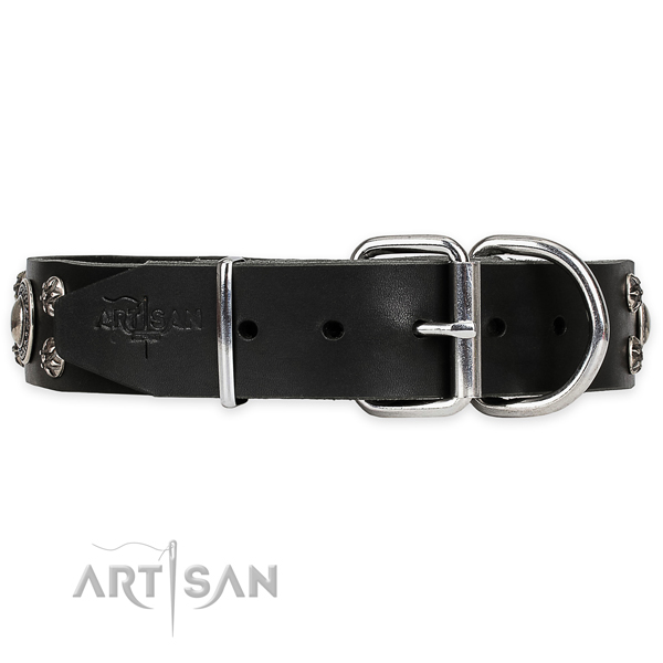 Wide Dog Collar