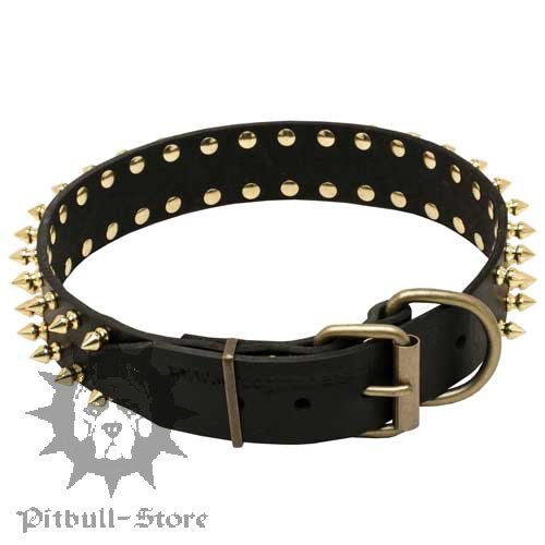 Spiked Dog Collar