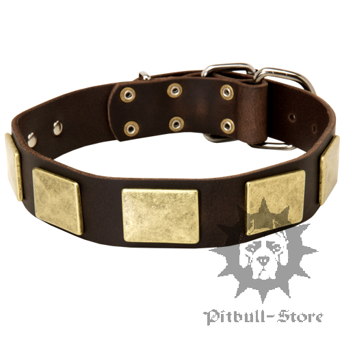 Wide Dog Collar