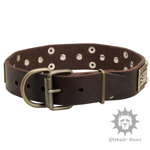 Leather Dog Collar