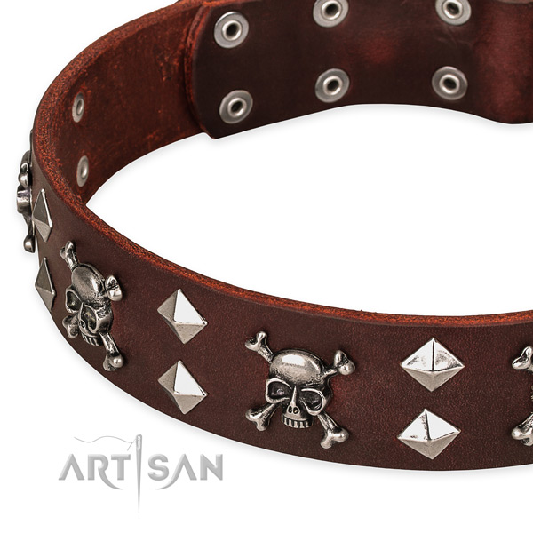 Wide Leather Dog Collar