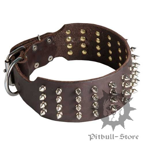 3 Inch Dog Collar