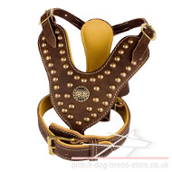 Nappa Padded Designer Dog Harness & Collar Set