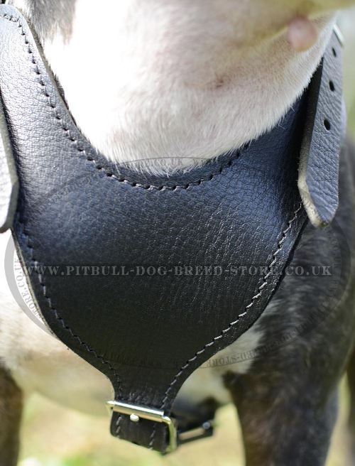 Leather Dog Harness