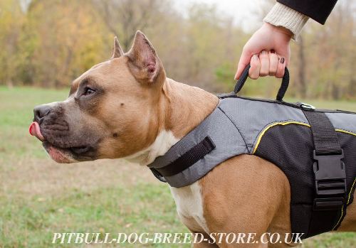 Dog Vest Harness