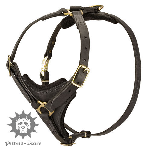 Training Dog Harness for Staffy