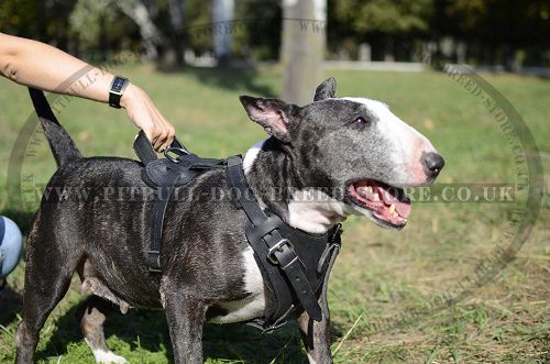 Leather Dog Harness with Handle