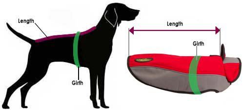 How to Measure Dog for Nylon Coat