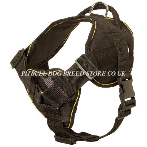 Pitbull Dog Harness for Sale