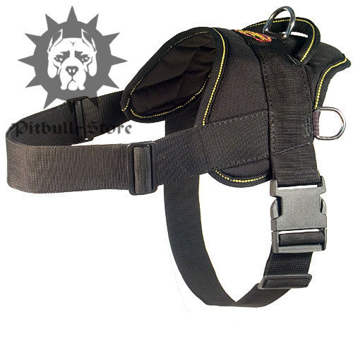 Best Nylon Dog Harness