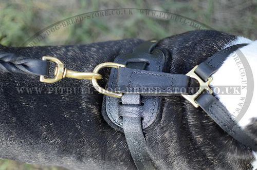 Soft Leather Dog Harness
