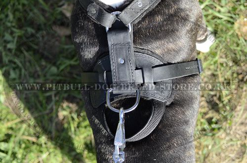 Dog Harness with Handle