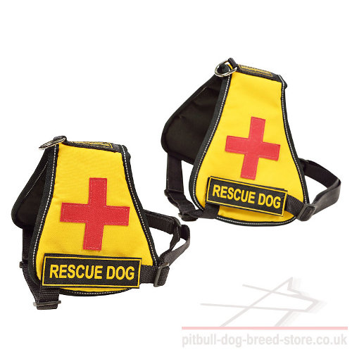 Best Service Dog Vest