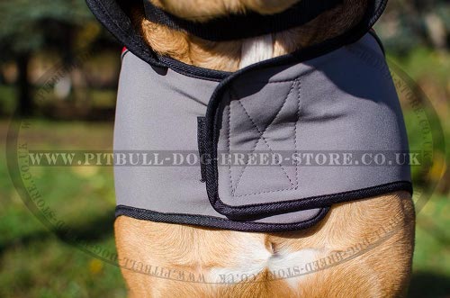 Cane Corso Dog Coat