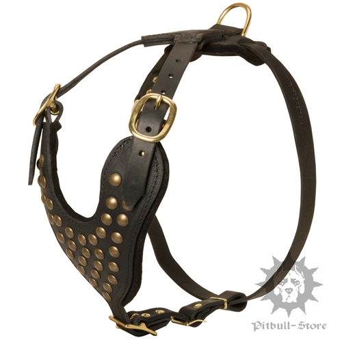 Studded Dog Harness UK