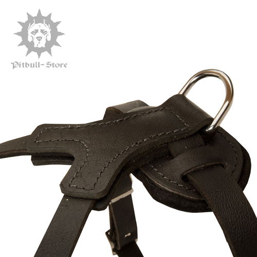 Padded Dog Harness