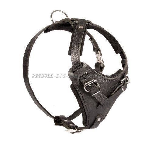 Pitbull Leather Dog Harness