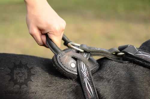 Pitbull Harness with Handle