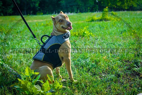 Dog Jacket Harness