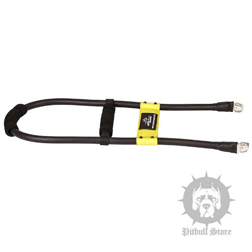 Guide Dog Harness UK