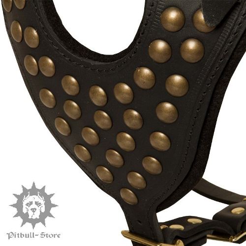 Studded Dog Harness