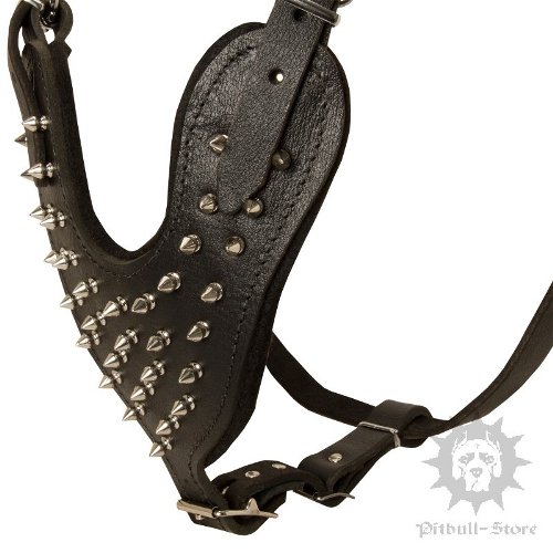 Leather Harness for Staffy
