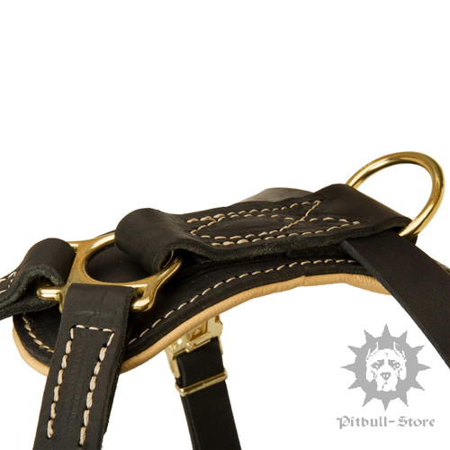 Luxury Dog Harness