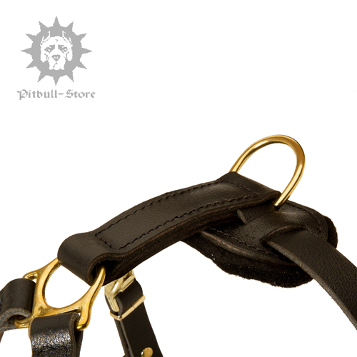 Mantrailing Harness