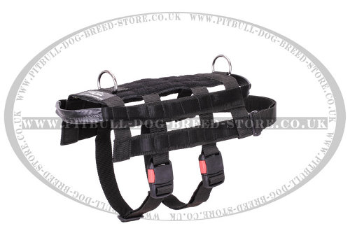 Military Working Dog Harness UK