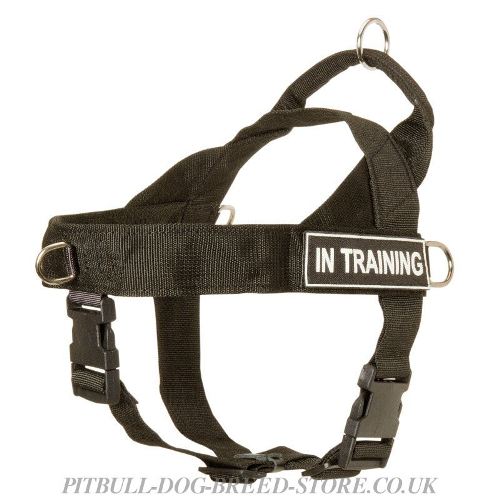 Nylon Dog Harness