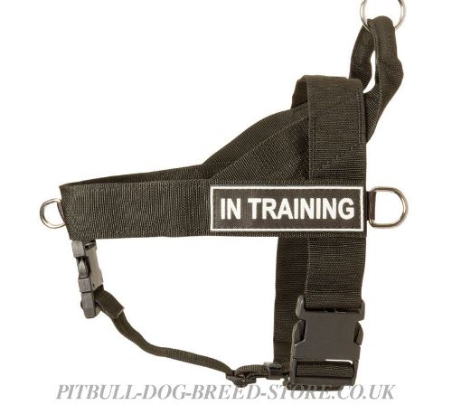 Nylon Dog Harness