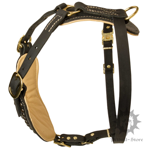 Padded Dog Harness